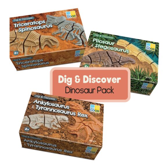 Dig and discover Dinosaurs 3 boxes on white background