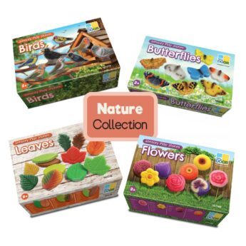 Nature collection boxes on white background