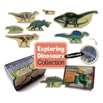 Exploring Dinosaurs Collection on white background