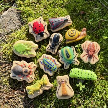 bugs sensory play stones grouped together on moss