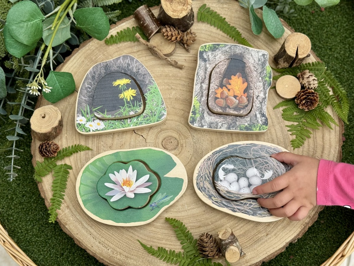 Who's Hiding? Woodland Animals - Image 4