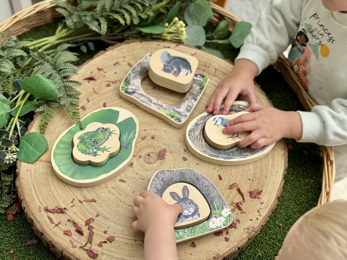 Who's Hiding? Woodland Animals - Image 5