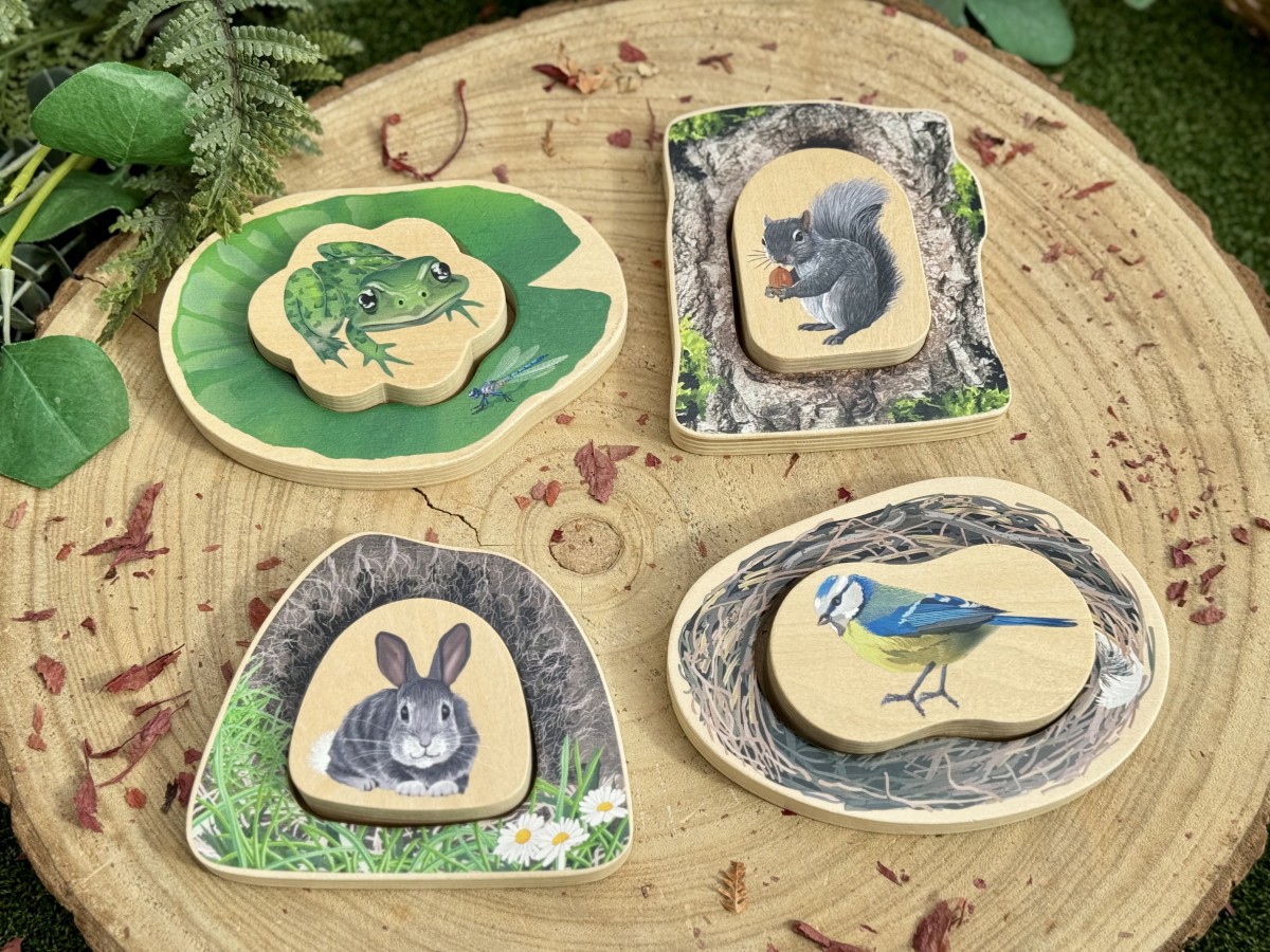 Who's Hiding? Woodland Animals - Image 14