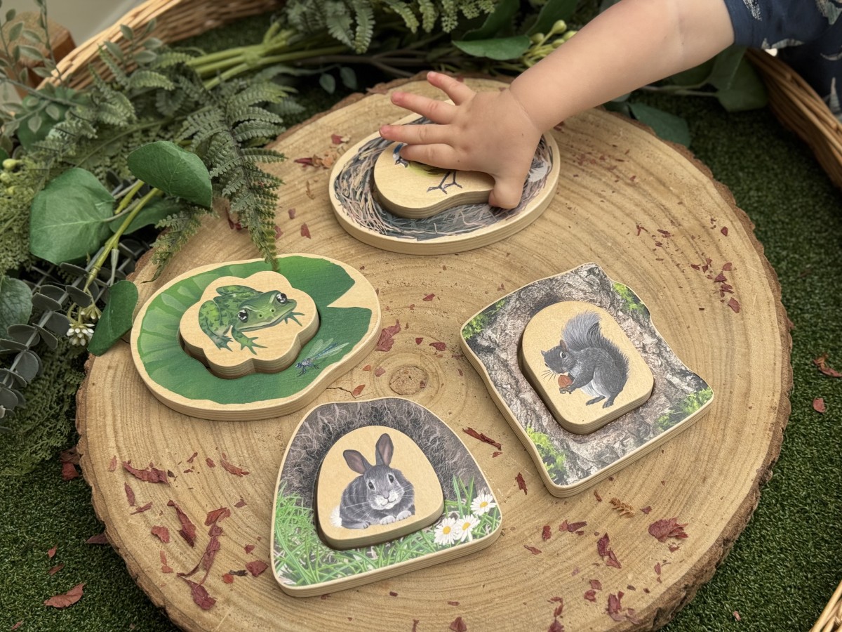 Who's Hiding? Woodland Animals - Image 12