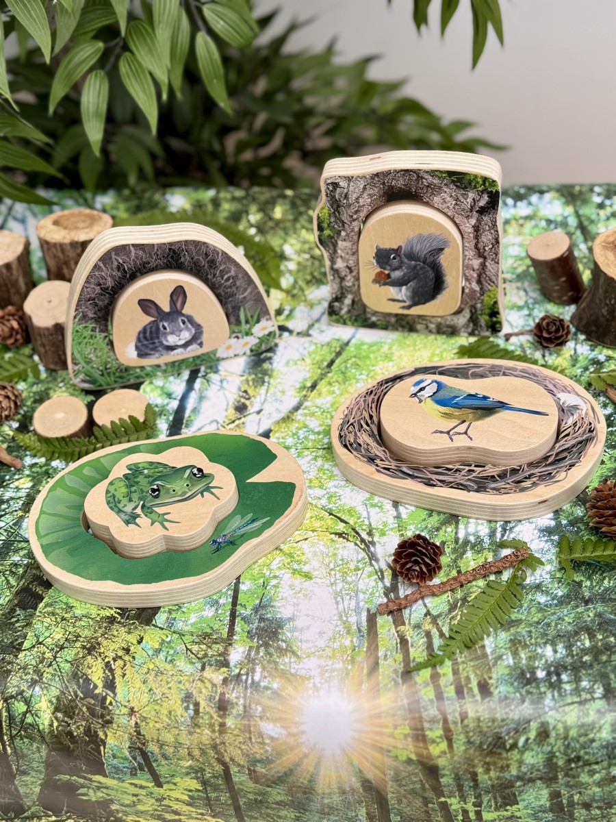 Who's Hiding? Woodland Animals - Image 8