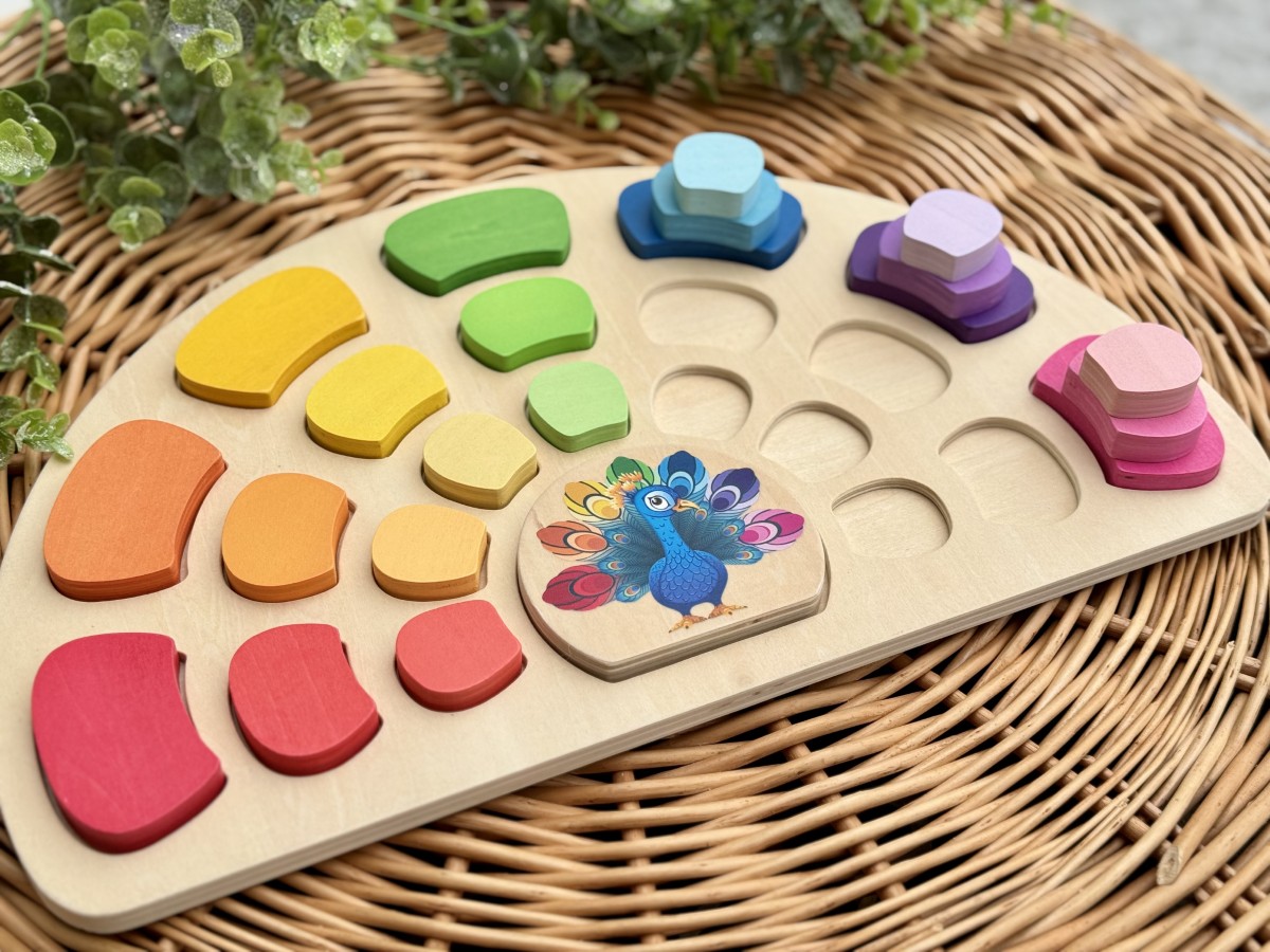 Pattern & Play Peacock