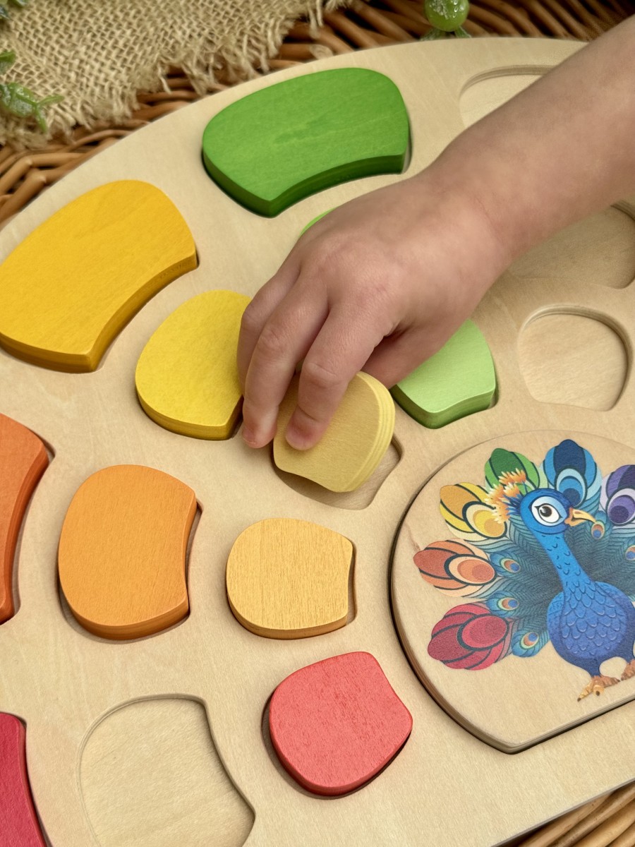 Pattern and Play Peacock - Image 21