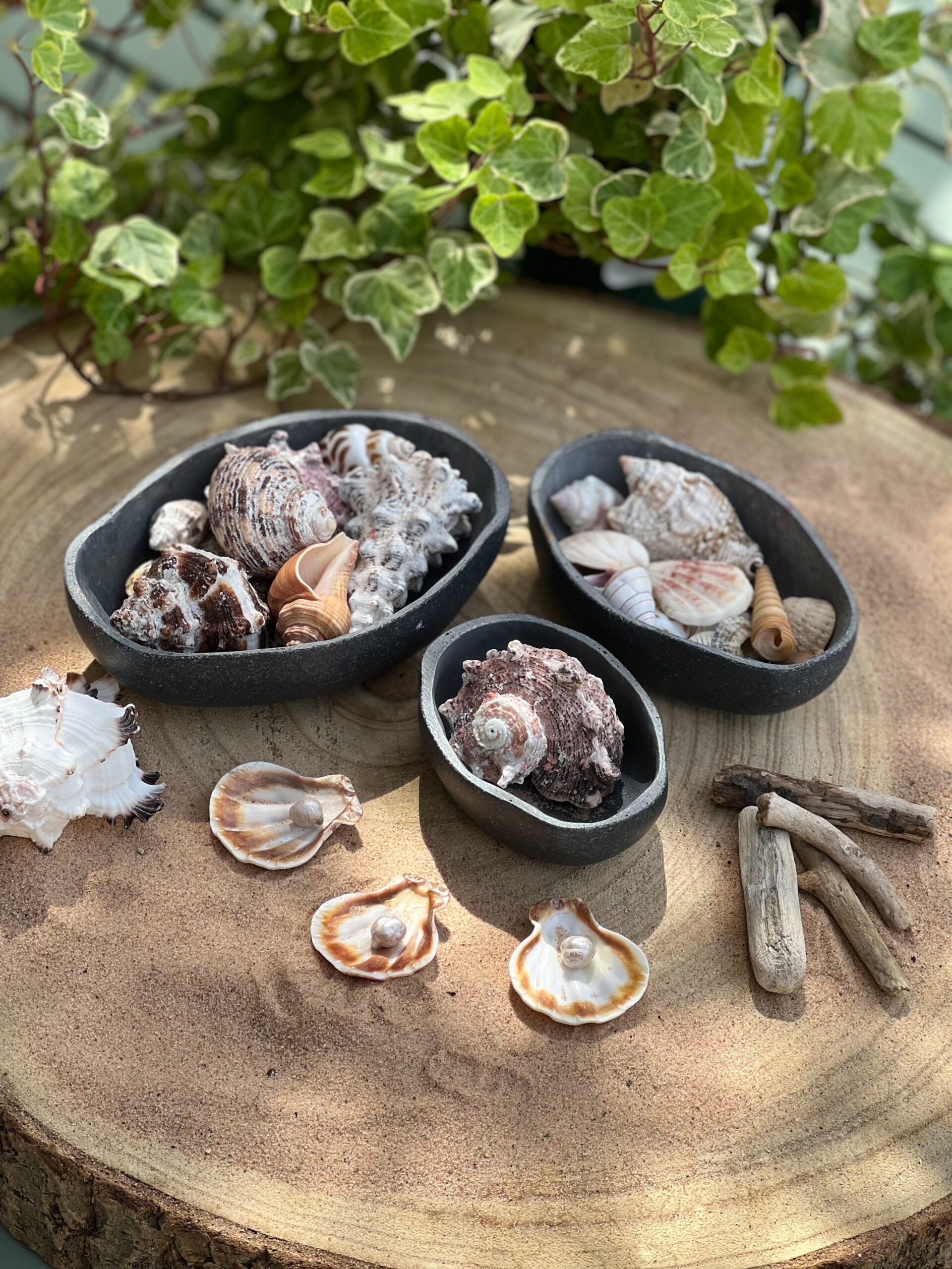 Loose Parts Play Collection - Image 4