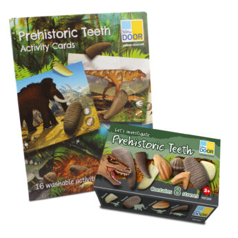 Prehistoric Teeth Pack