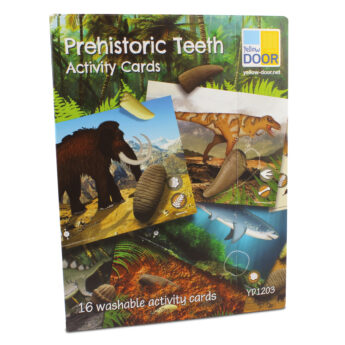 Prehistoric Teeth Explore and Discover Activity Cards