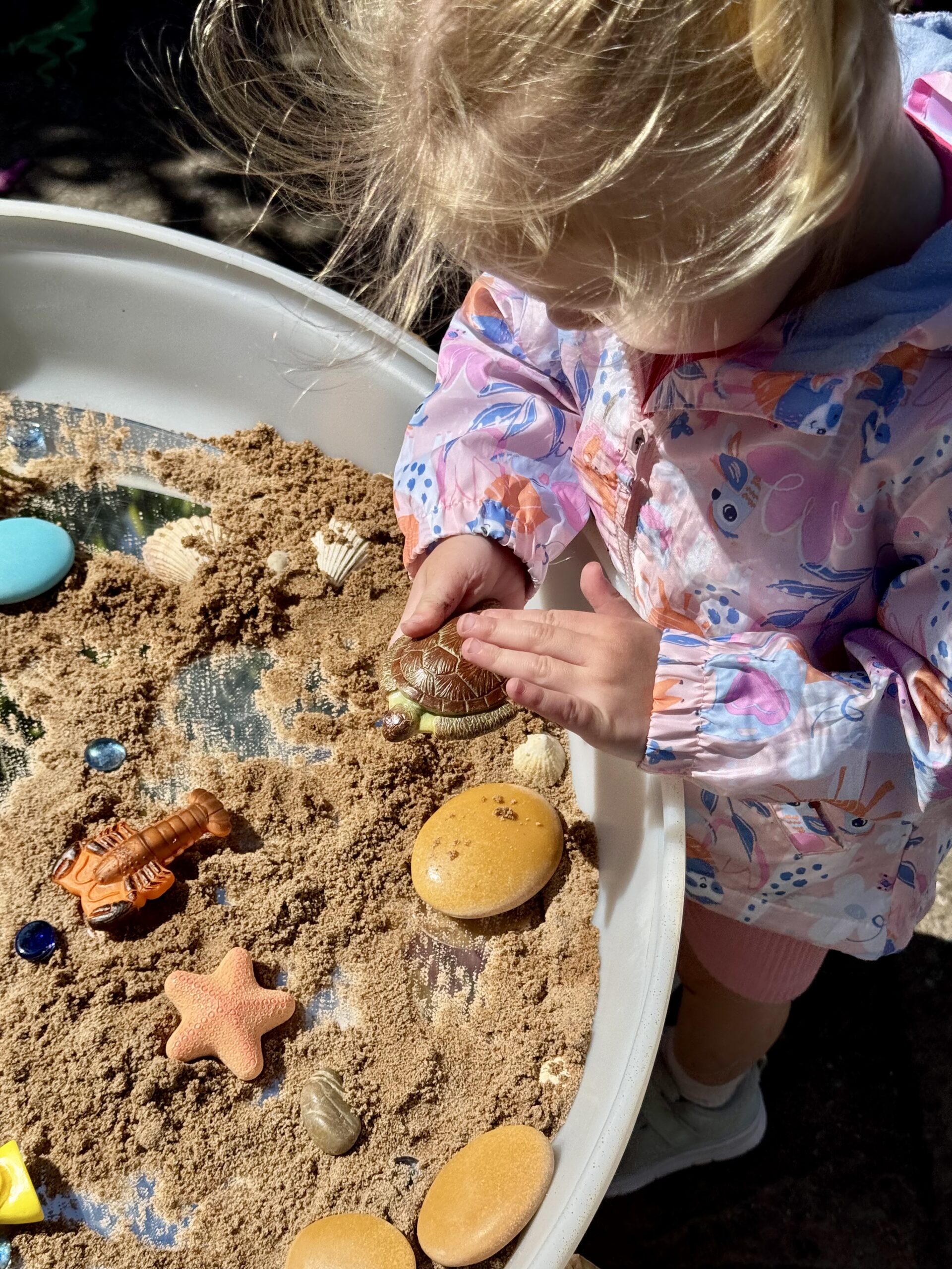 Ocean Life – Sensory Play Stones - Image 4
