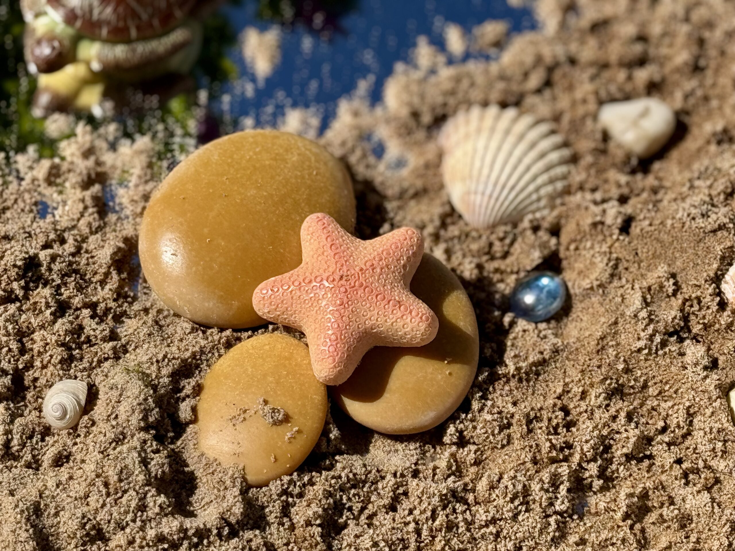 Ocean Life – Sensory Play Stones - Image 8