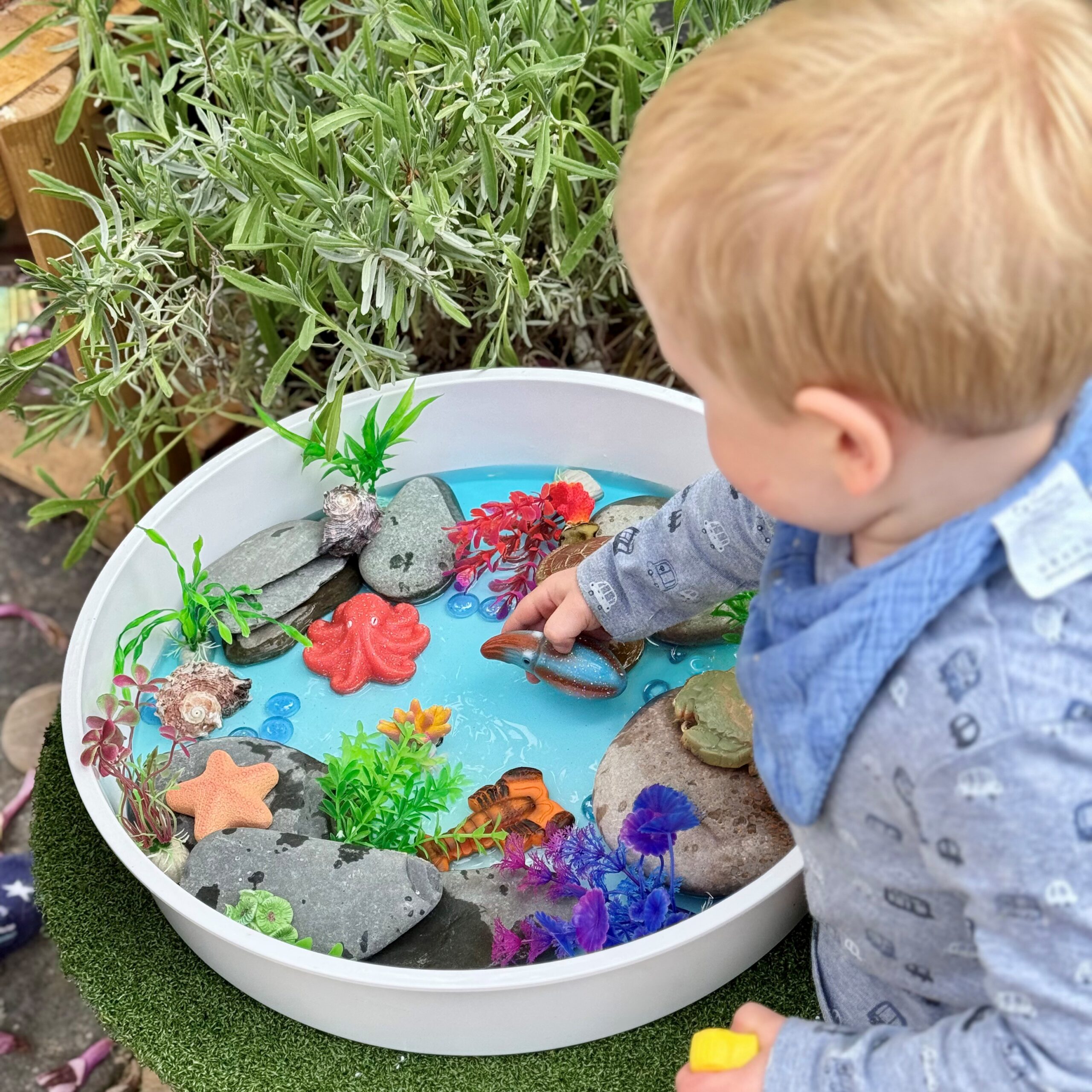 Ocean Life – Sensory Play Stones - Image 9