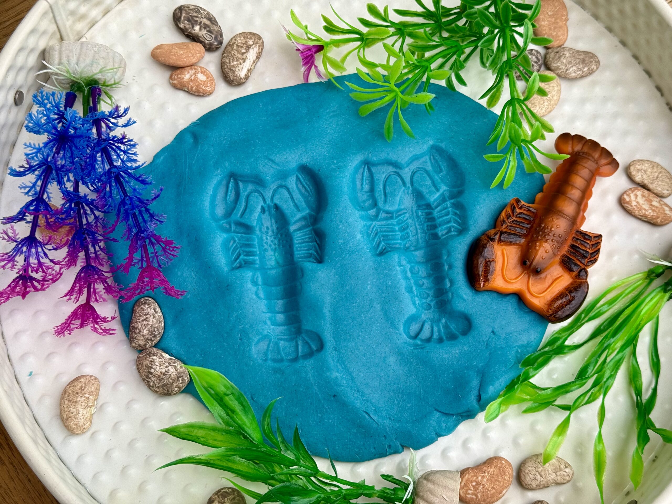 Ocean Life – Sensory Play Stones - Image 11