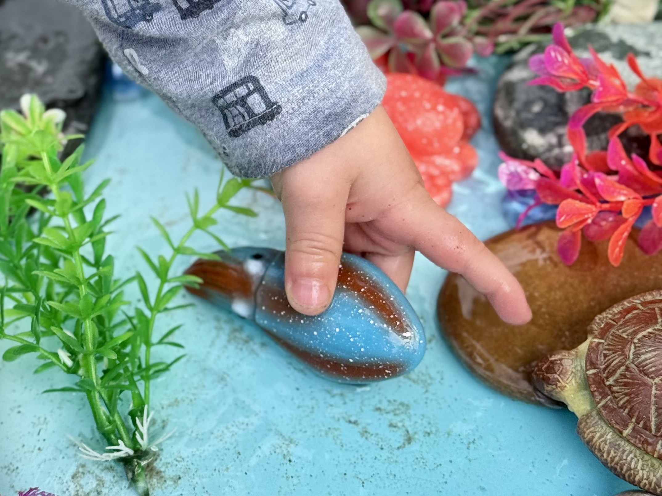 Ocean Life – Sensory Play Stones - Image 12