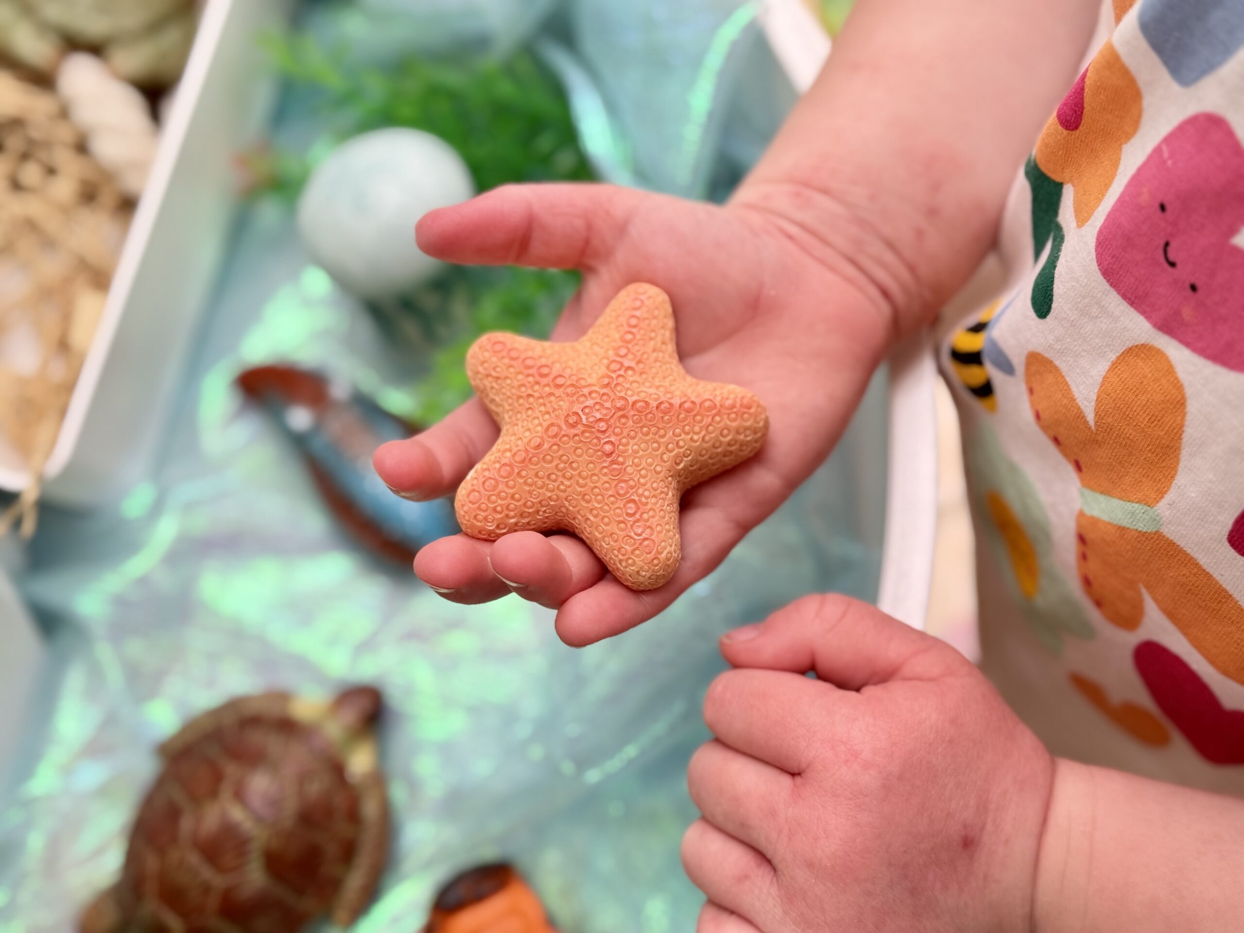 Ocean Life – Sensory Play Stones - Image 15