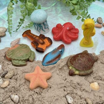 Ocean Life – Sensory Play Stones