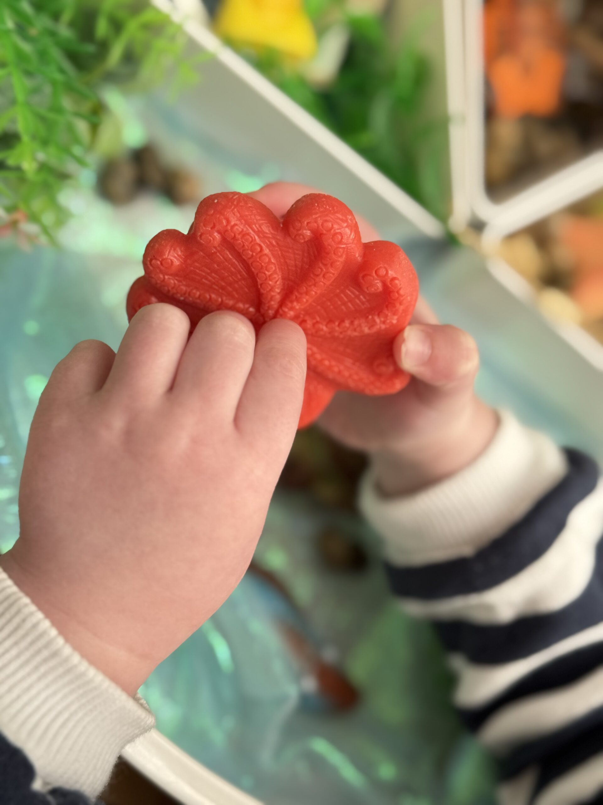 Ocean Life – Sensory Play Stones - Image 17