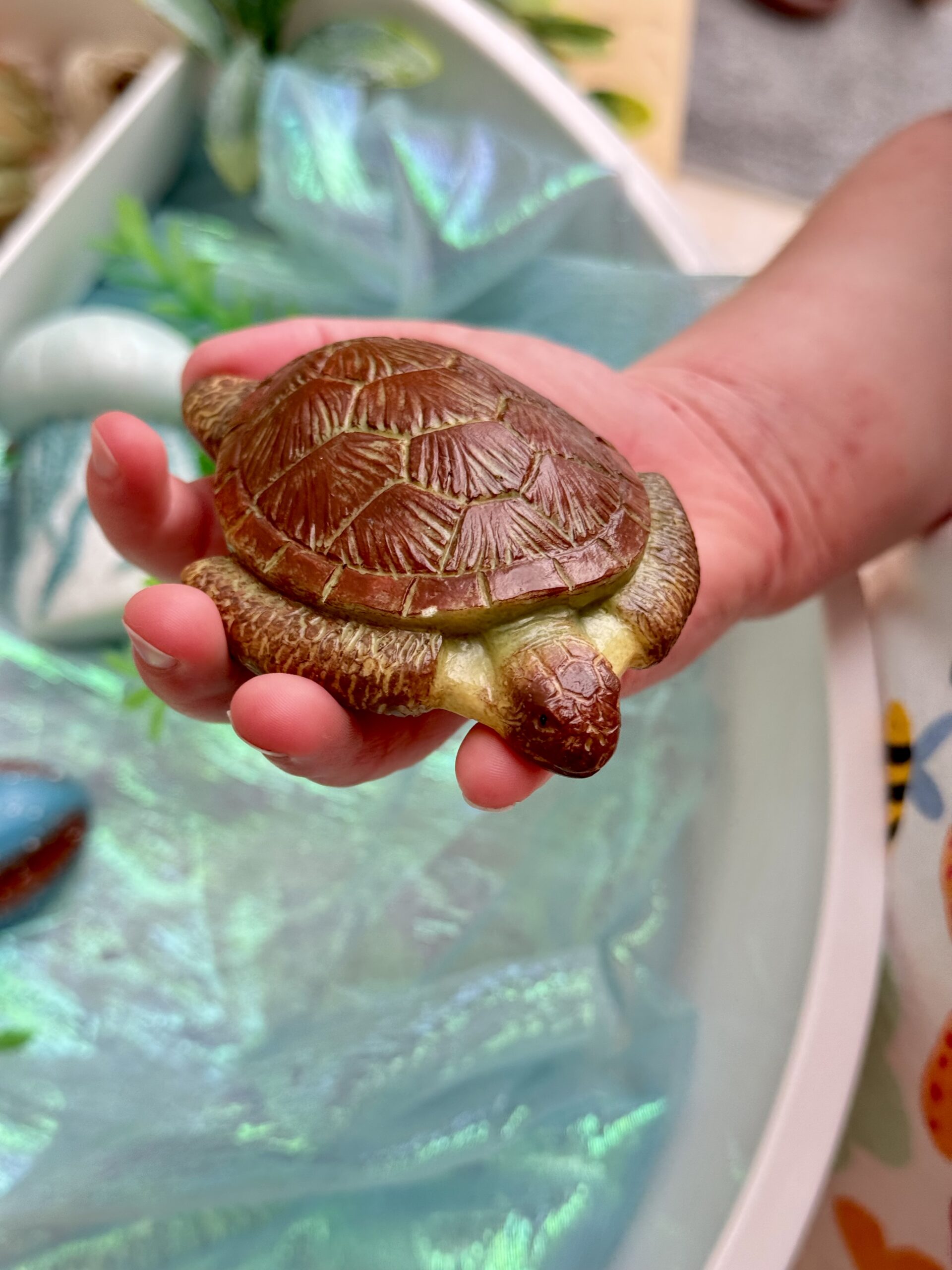 Ocean Life – Sensory Play Stones - Image 20