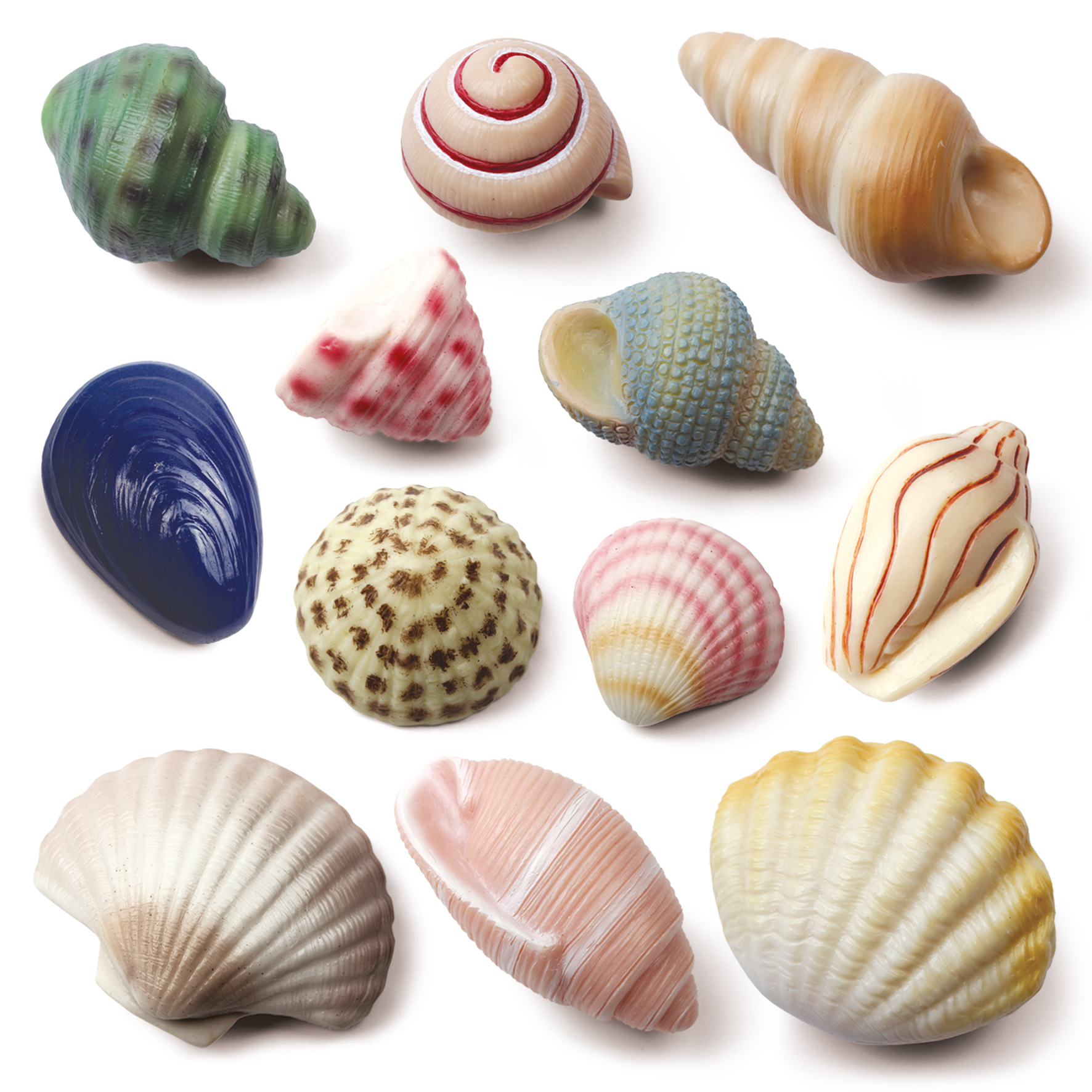 Seashells - Sensory Play Stones - Image 4