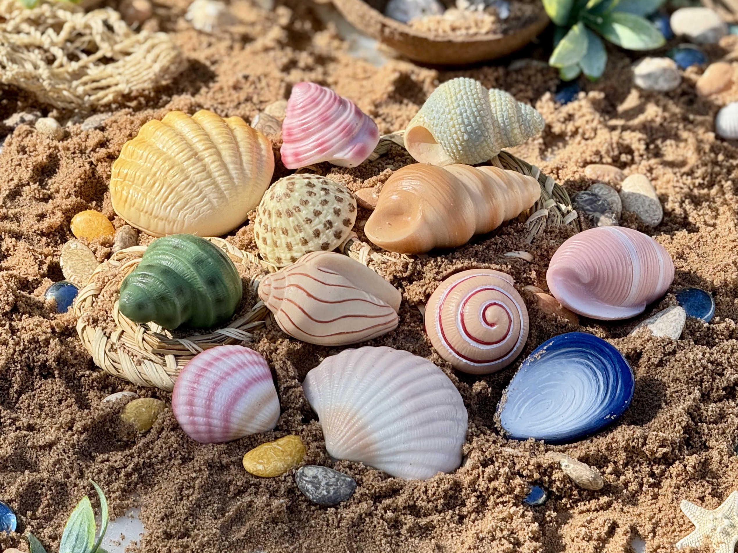 Seashells - Sensory Play Stones