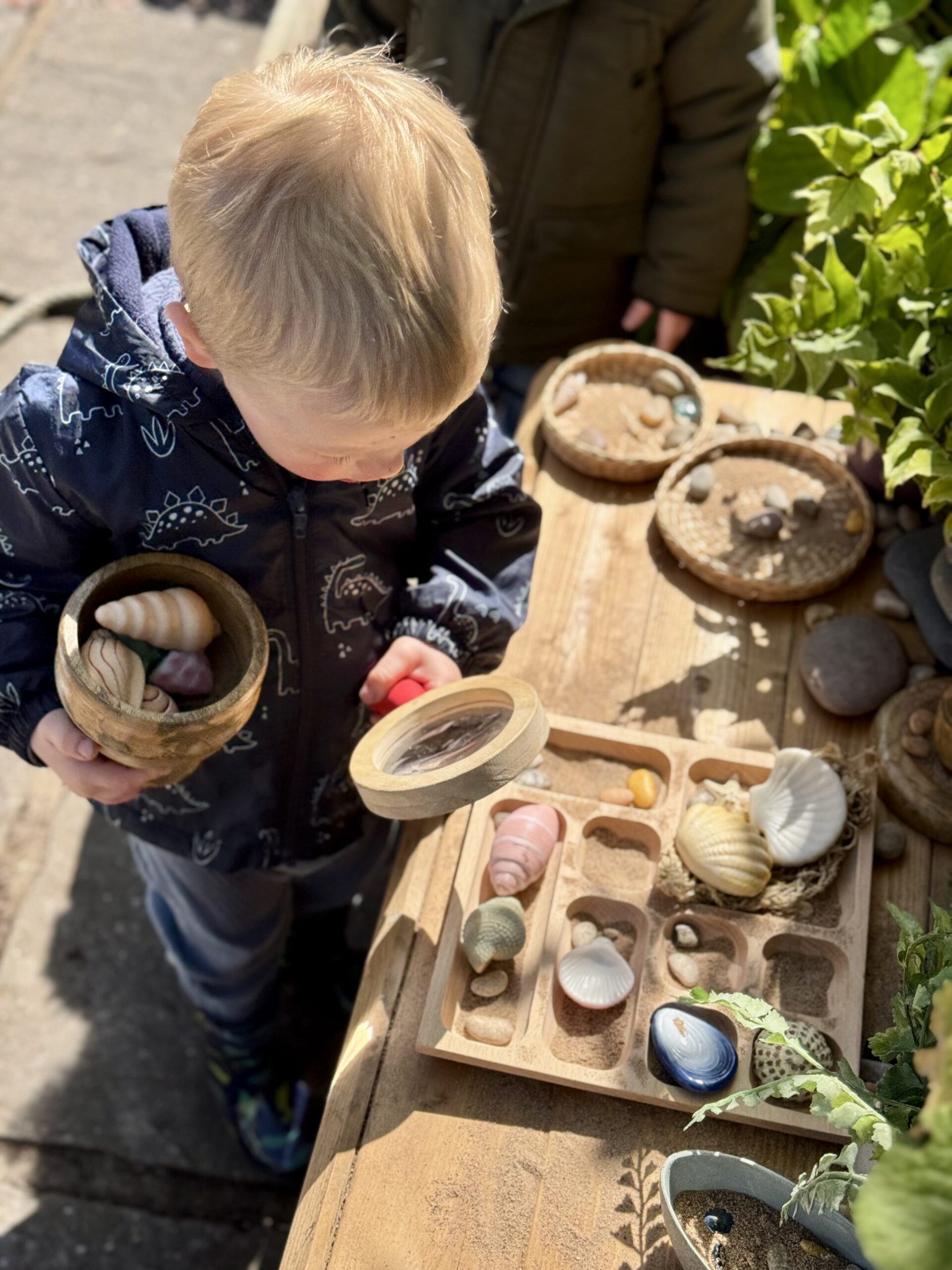 Seashells - Sensory Play Stones - Image 18