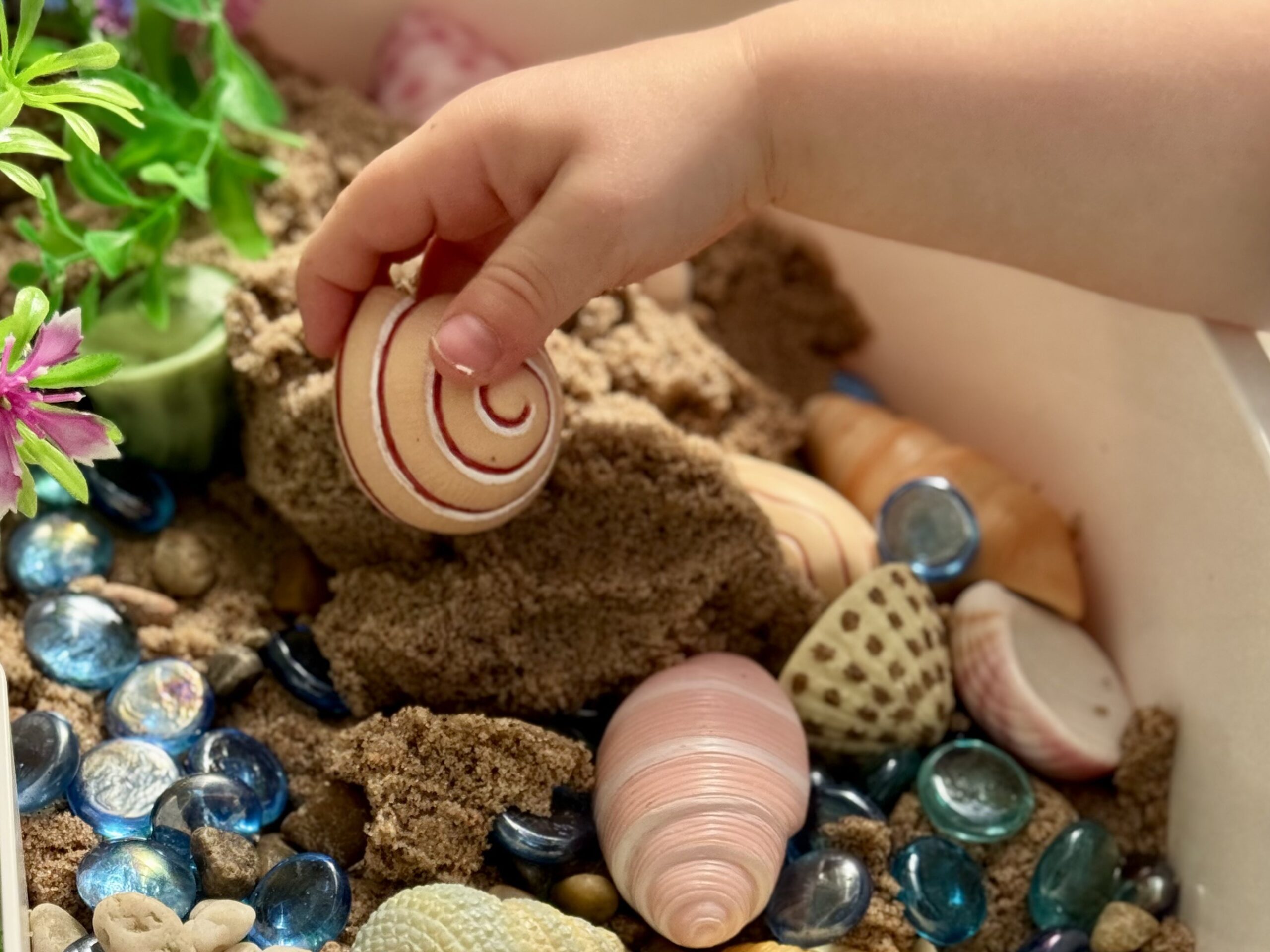 Seashells - Sensory Play Stones - Image 17