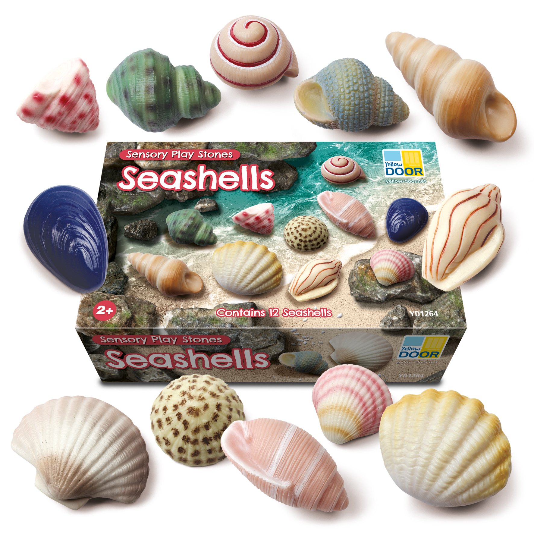 Seashells - Sensory Play Stones - Image 9
