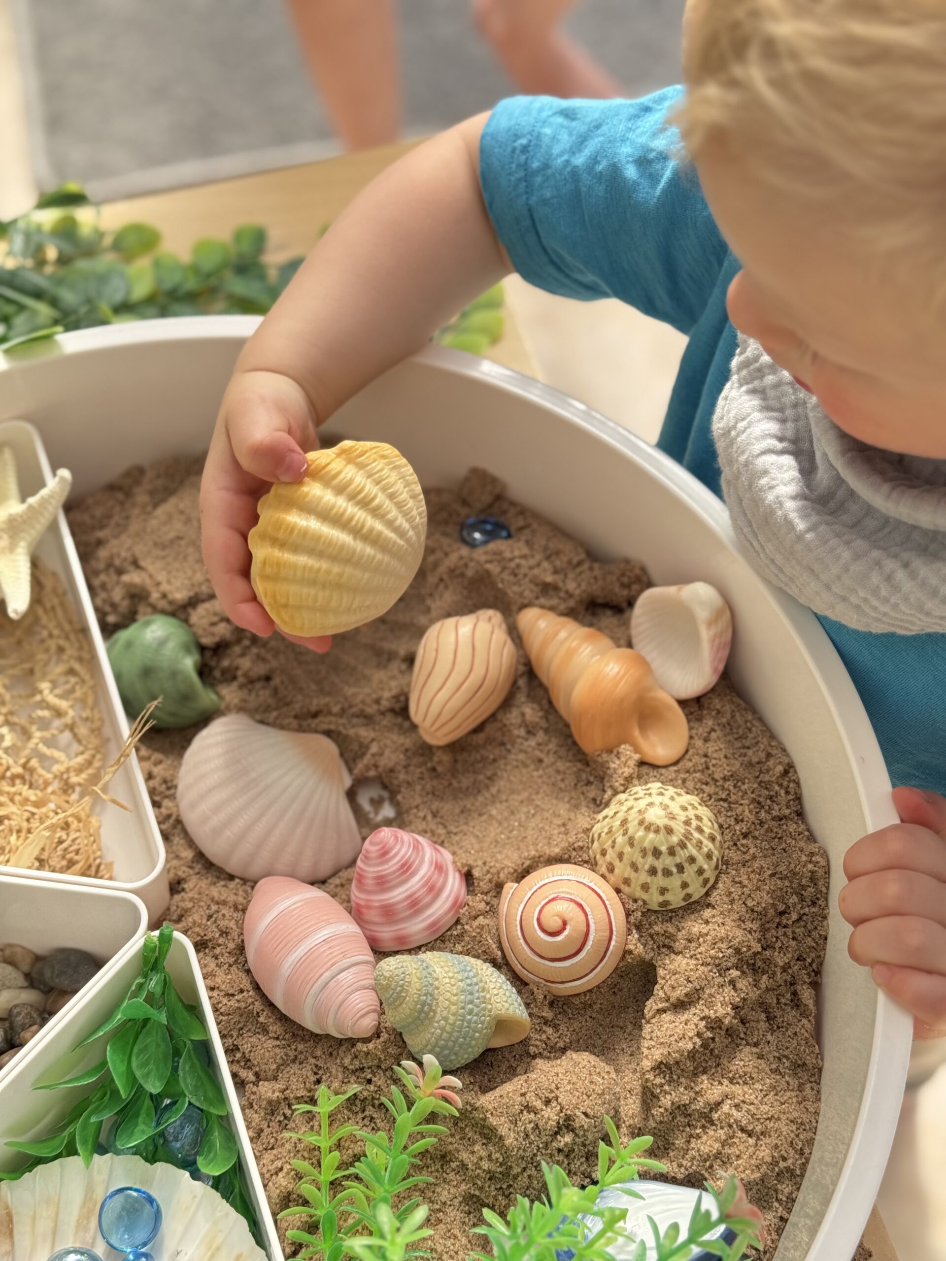 Seashells - Sensory Play Stones - Image 15