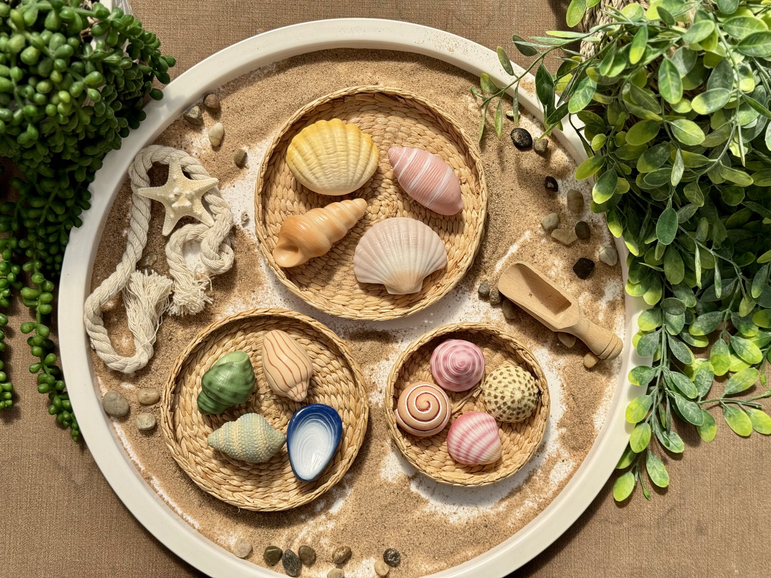 Seashells - Sensory Play Stones - Image 14