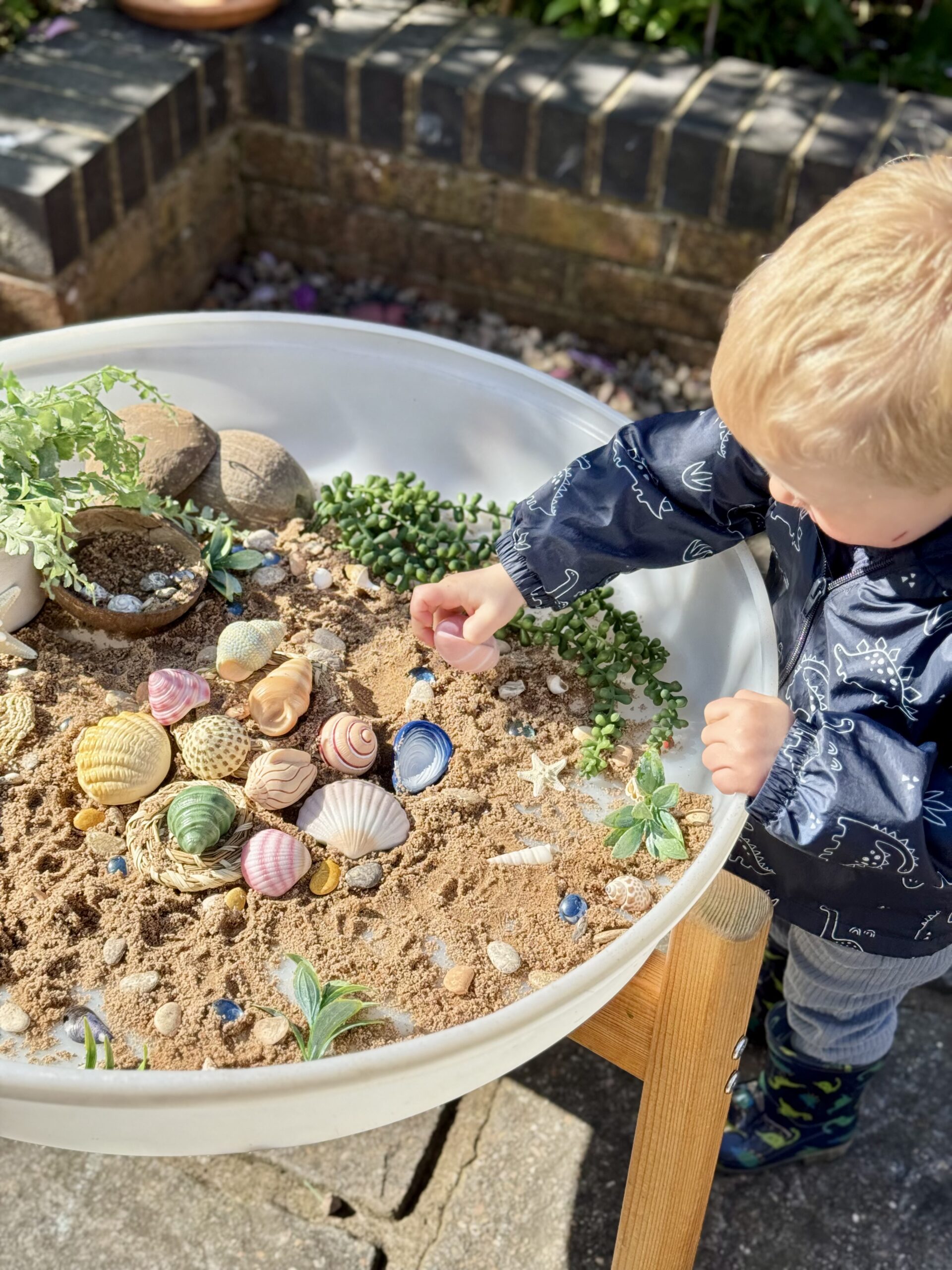 Seashells - Sensory Play Stones - Image 12
