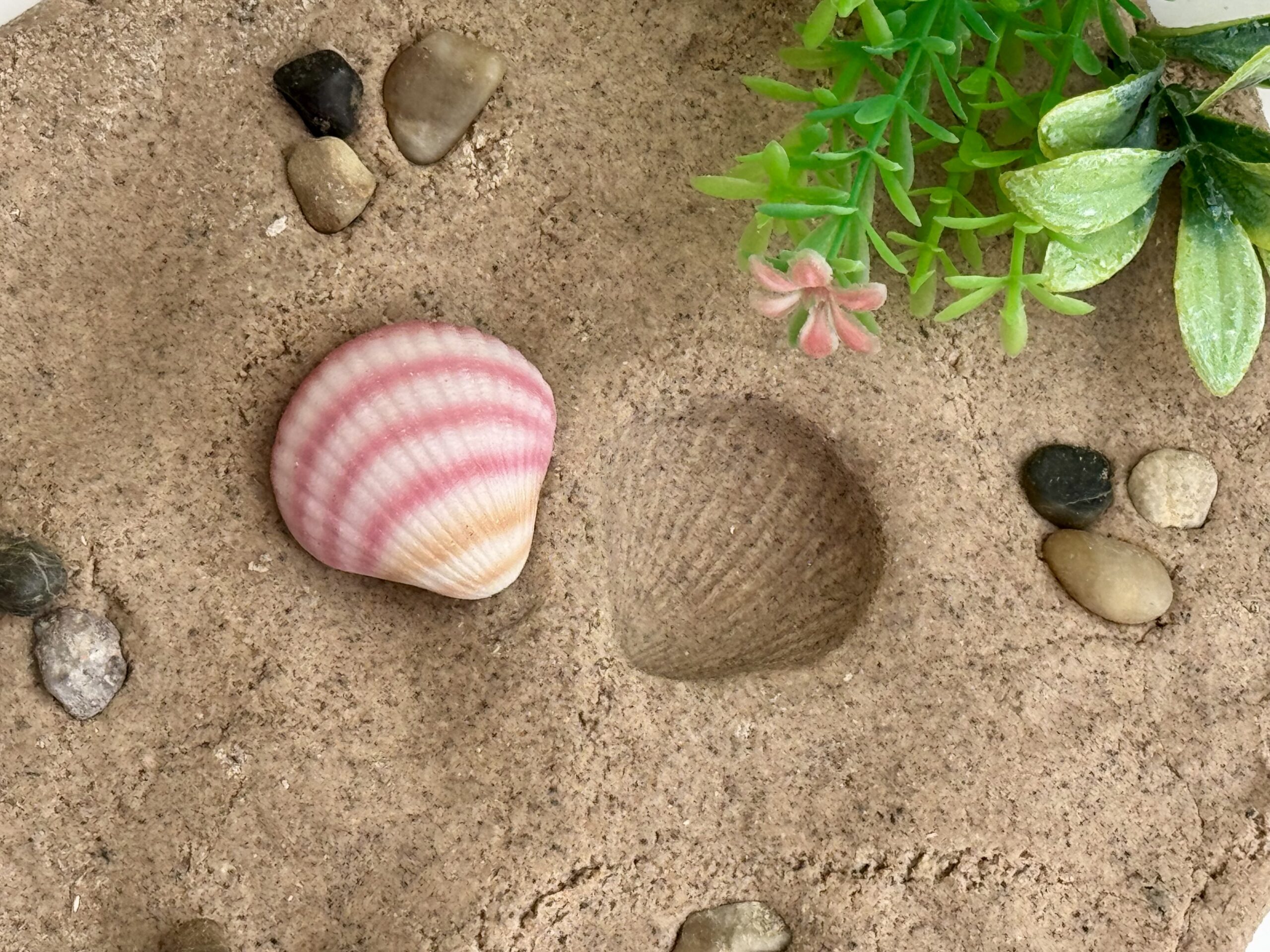 Seashells - Sensory Play Stones - Image 11