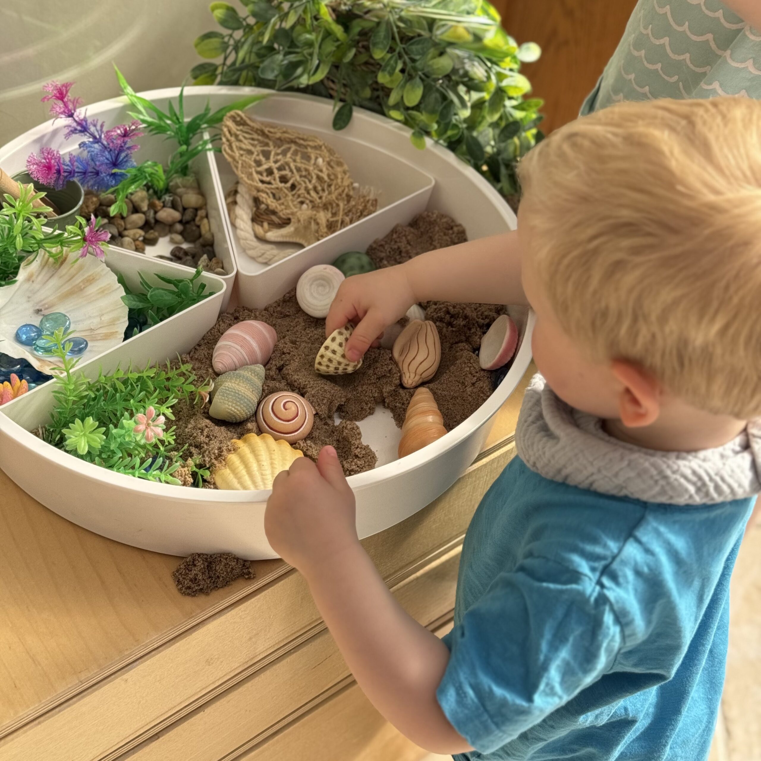 Seashells - Sensory Play Stones - Image 10