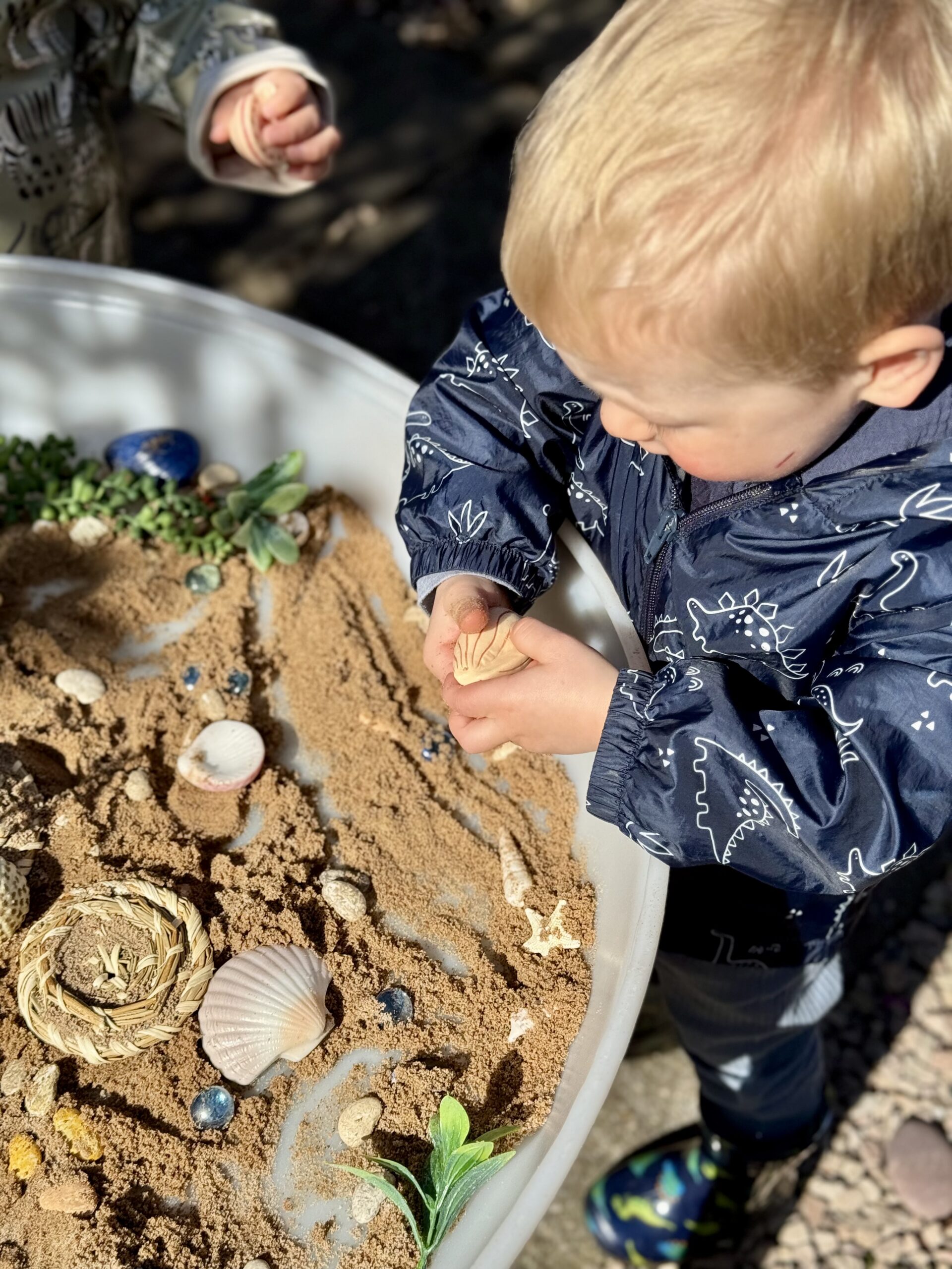 Seashells - Sensory Play Stones - Image 8