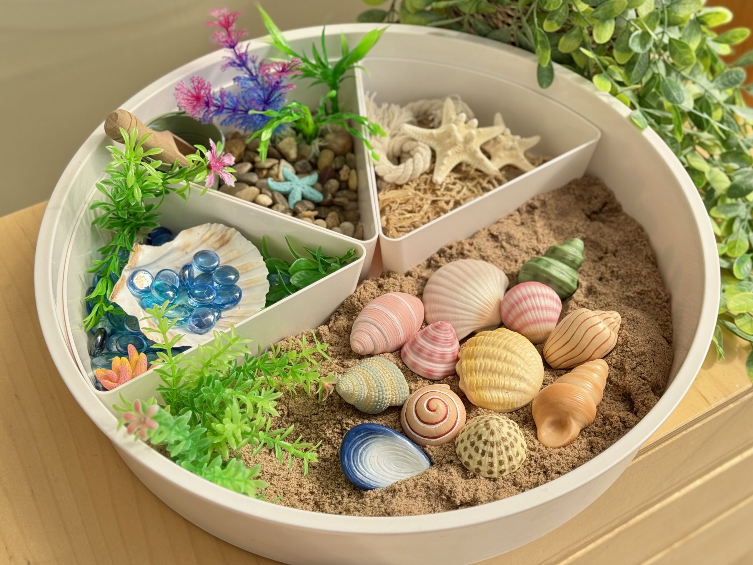 Seashells - Sensory Play Stones - Image 7