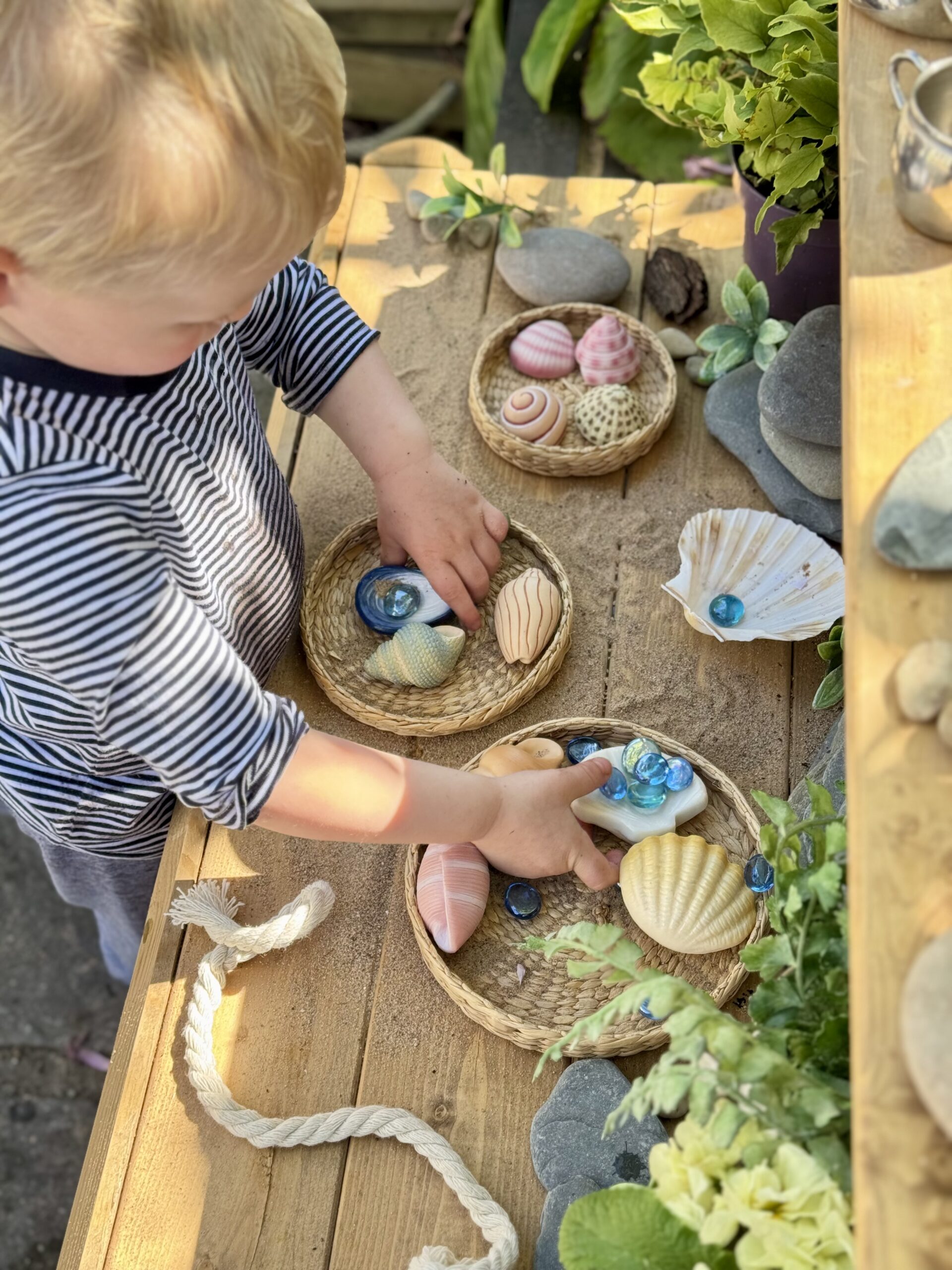 Seashells - Sensory Play Stones - Image 6