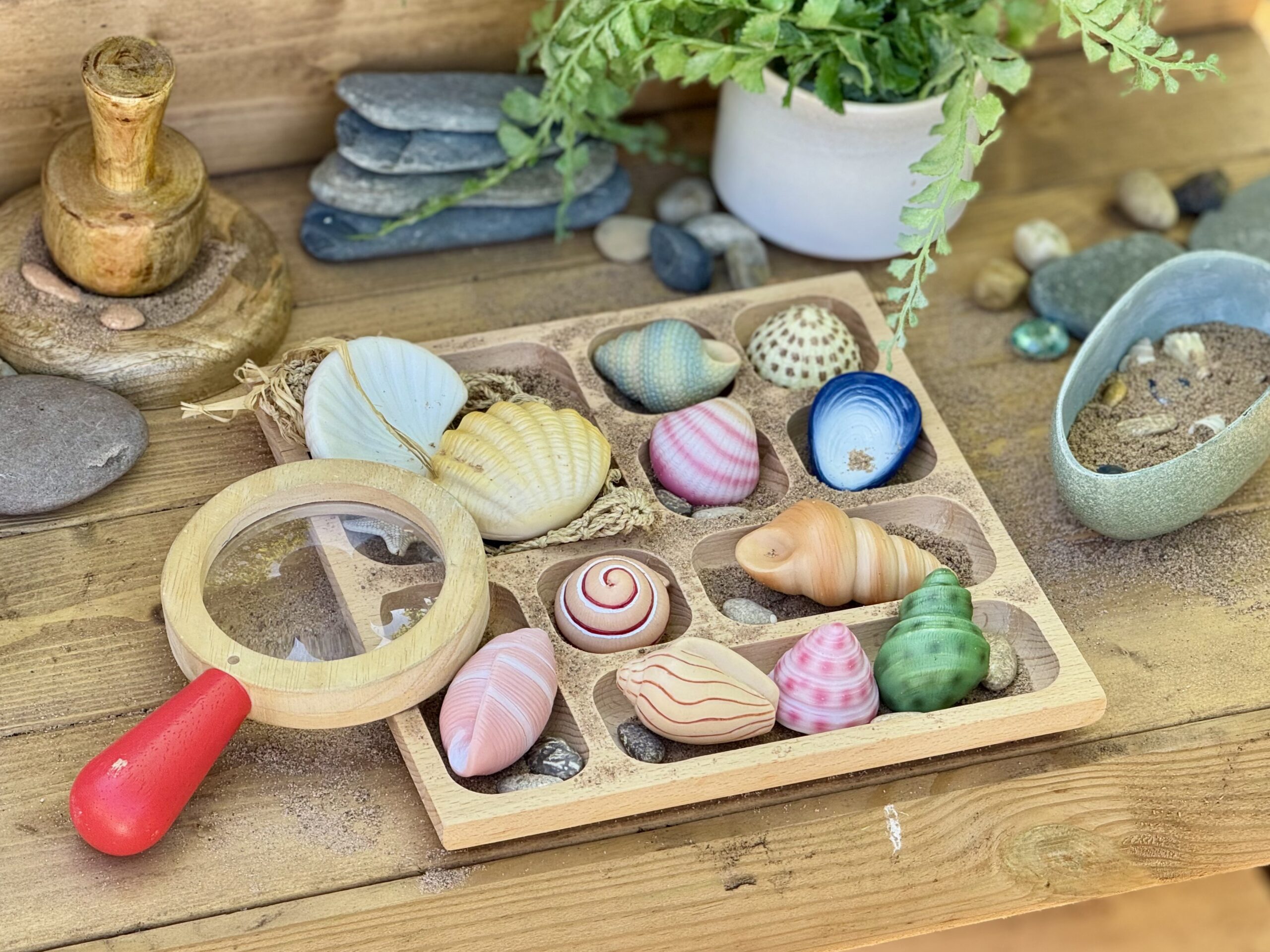 Seashells - Sensory Play Stones - Image 5