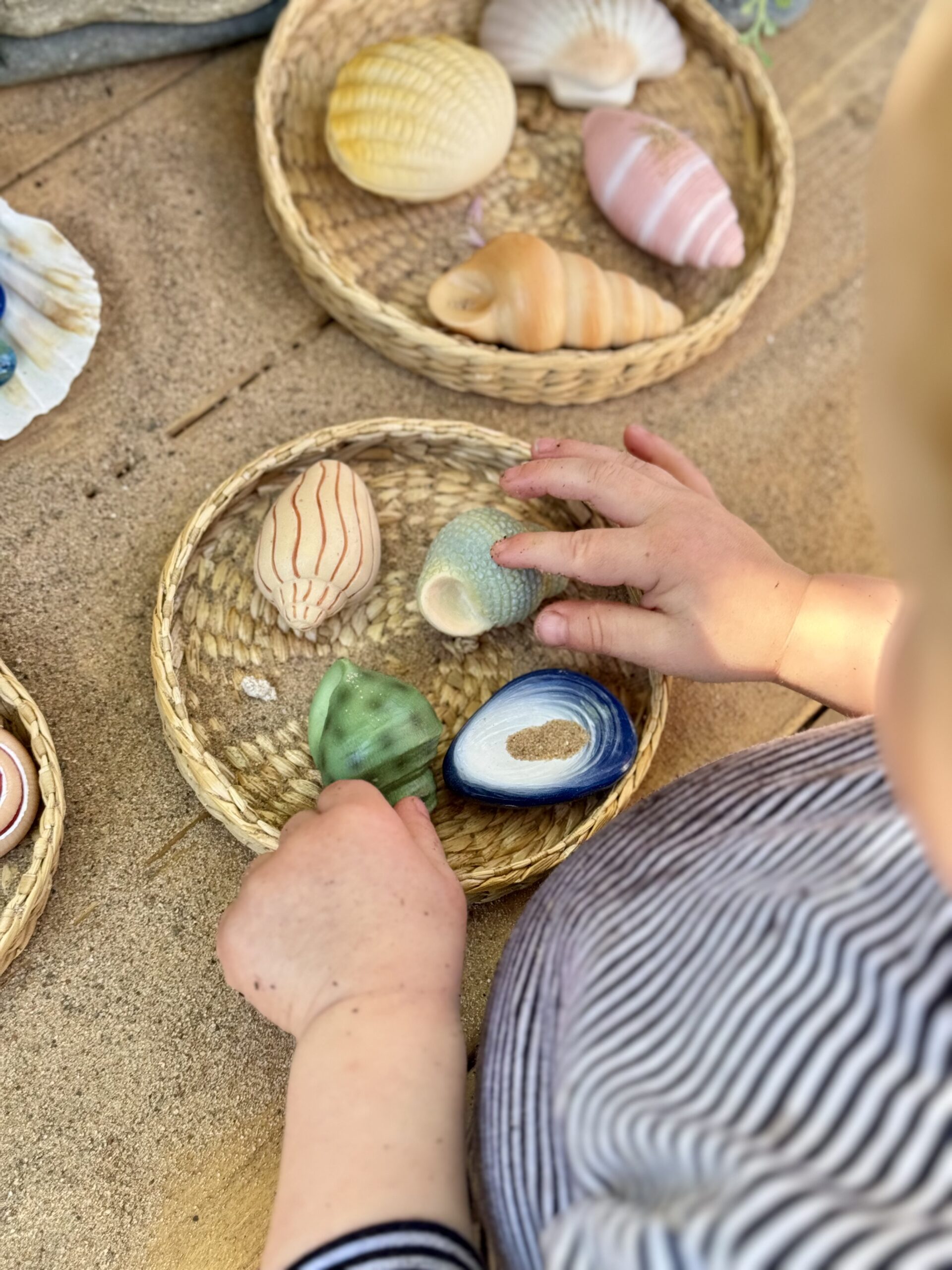Seashells - Sensory Play Stones - Image 3