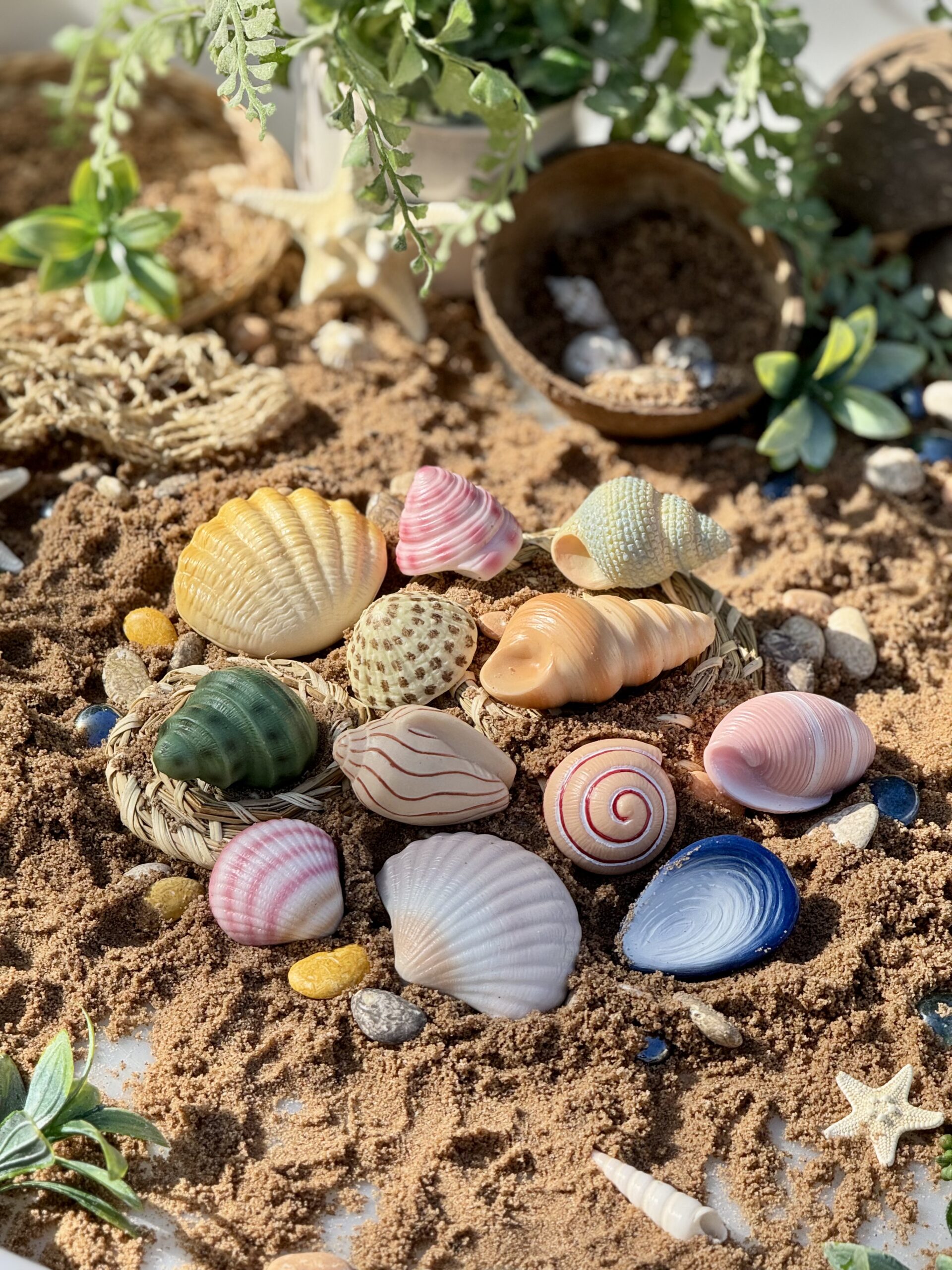 Seashells - Sensory Play Stones - Image 2