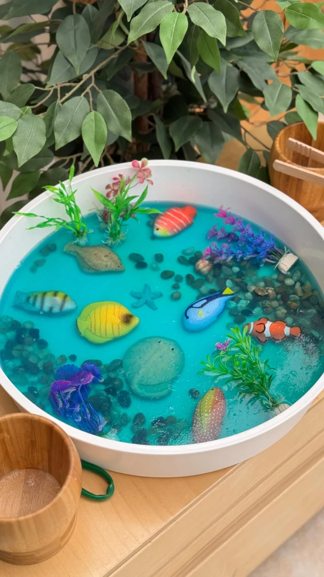 Simple Sensory Fun for World Ocean Day! 🌊🪸🐠 
This easy-to-set-up ocean-themed sensory tray is perfect for little hands to explore and learn through play.

We used just a few simple components:
Fish, rocks, and gelatin with a drop of blue food colouring to create a wobbly, under-the-sea scene!

Follow the instructions on the gelatin packet, let it set, and then invite children to rescue and dig out the fish—a fantastic way to strengthen fine motor skills, encourage curiosity, and spark imaginative play.

Save this idea for a fun and educational way to mark World Ocean Day! 🌊🪸🐠

#playbasedlearnin #learningthroughplay #sensoryplay #yellowdooreducation #yellowdoorplay #invitationtoplay #finemotorskills #kidsactivities #sensoryplayideas #toddleractivitiesً #earlychildhoodeducation #preschoolactıvıtıes #openendedplay #playideas #messyplay #eyfs #worldoceanday