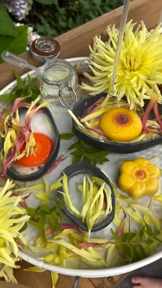 Looking for a fun and educational summer activity? Try making magical summer potions! ☀️🍃 

All you need is bicarbonate soda, white vinegar, and some sprigs and petals from the garden. Watch the fizz and bubbles create a magical reaction that will engage your little ones. 

It’s a great way to explore science and nature together!🌿✨

#summerfun #kidsactivities #scienceforkids #summerpotion #bubblyexperiment #outdoorplay #learningthroughplay #yellowdooreducation