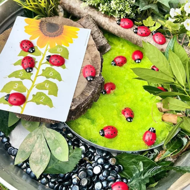 🐞 Ladybug Fun 🐞

Our Ladybug Counting Stones are a playful way to explore counting to 20, subitising, odd and even numbers, and simple addition. Each set includes two of each number from 0–10—perfect for hands-on early maths!

Pair them with our Counting Cards, designed for outdoor learning with durable materials and engaging activities like leaf number lines and forest home matching.

Don’t forget the Count, Match and Order App—a great way to extend learning digitally with fun games at two levels, supporting independent and group play with both ladybug and honey bee themes.

📸 playful_porter

#earlylearning
#yellowdooreducation 
#learningthroughplay
#mathactivities
#preschoolmath
#toddleractivities
#eyfslearning
#handsonlearning